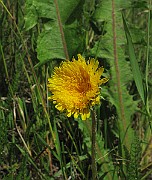 IMG_6282