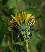 IMG_6283