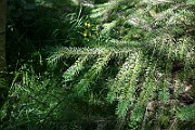 IMG_9834