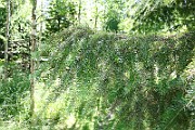 IMG_9837