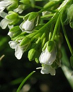 IMG_3694