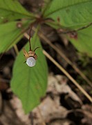 IMG_4318