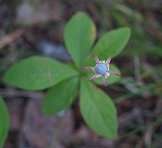 IMG_8690