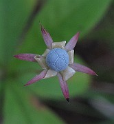 IMG_8691