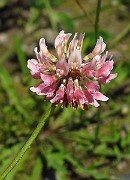 IMG_3876
