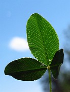 IMG_3877