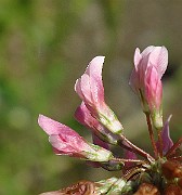 IMG_3880