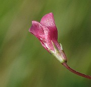 IMG_7665