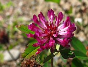 IMG_3928