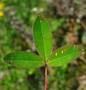 IMG_3933