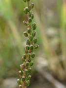 IMG_6688