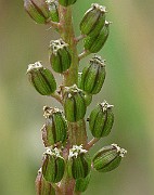 IMG_6688b