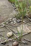 IMG_6690