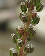 IMG_6691