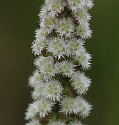 IMG_6706