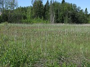 IMG_4146