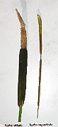 IMG_4325