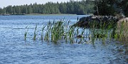IMG_8693