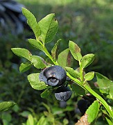 IMG_8649