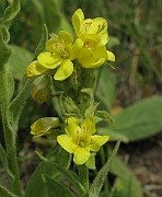 IMG_2920