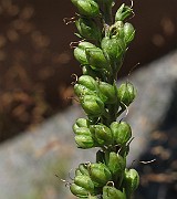 IMG_9140