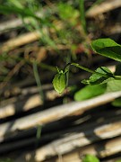 IMG_2282