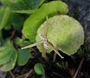 IMG_7845