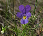 IMG_7380