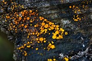 IMG_2479