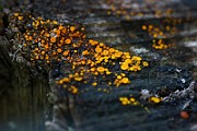 IMG_2480