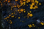 IMG_2481