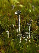 IMG_6896