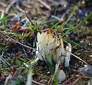IMG_1729