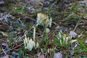 IMG_1730