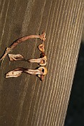 IMG_0152