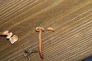 IMG_0154