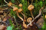IMG_9225