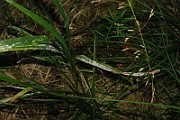 IMG_6869