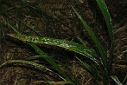 IMG_6870