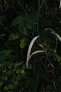 IMG_6871