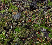 IMG_7884