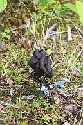 IMG_1022