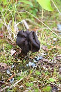 IMG_1025