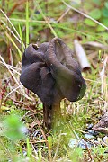 IMG_1121