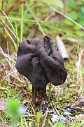 IMG_1122