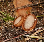 IMG_0387