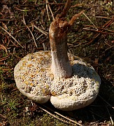 IMG_0875