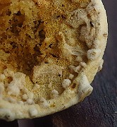 IMG_2334