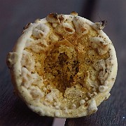 IMG_2336