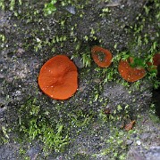 IMG_2524